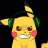 PAST1K