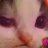 ykrop